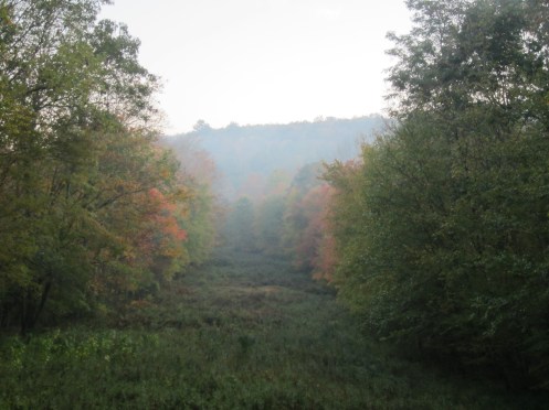 Autumn and Mom's birthday 024